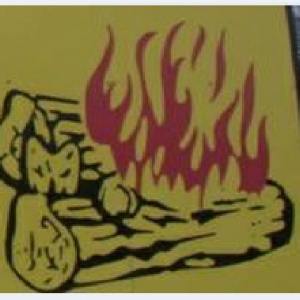 Photo of Fireside Realty
