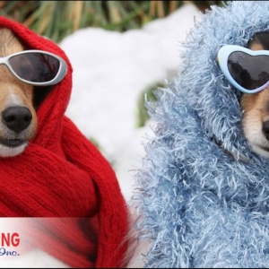 Photo of Residential Heating and Air Conditioning