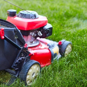 Baltimore Green Is Growth