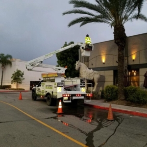 Photo of Acm Lighting Services
