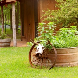 Photo of The Rising Star Ranch Events & Catering