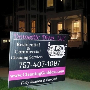 Virginia Beach Domestic Divas
