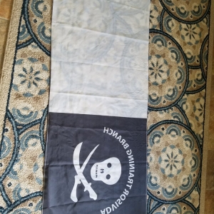 Photo of Arkansas Flag & Banner