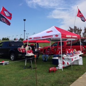 Photo of Arkansas Flag & Banner
