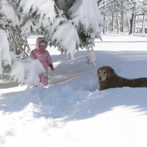 Photo of C No Pet Fence