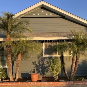 Brea Liberty Painting and Restoration