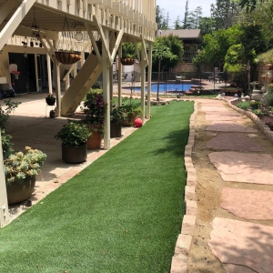 Photo of Irrigation Express and Simple Turf