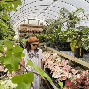 Photo of Hewitt Garden & Design Center