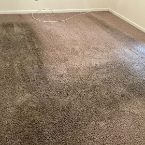 Photo of Augusta Partners Property Management
