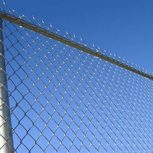 Photo of Trudeau's Fence