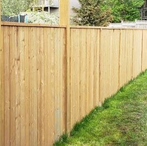 Photo of Trudeau's Fence