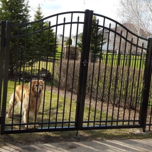 Photo of Caron Fence