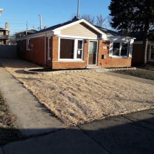 Photo of DLT Brothers Professional Services