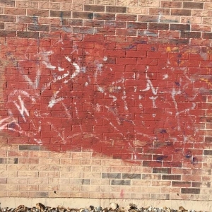 Photo of Gumbusters of Utah