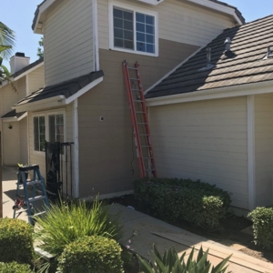 Photo of Precision Termite and Carpentry