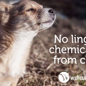 Marlborough TJ's 100% Organic Cleaners