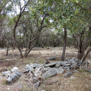 Canyon Lake Zack's Landscaping