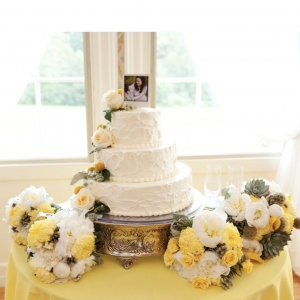Photo of Bumble Bee Landing