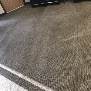 Photo of Raging Eagles Carpet Cleaning