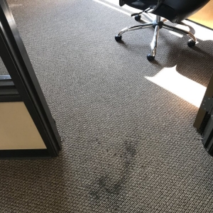 Photo of Raging Eagles Carpet Cleaning