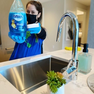 Chelsea Blue and Green Cleaning