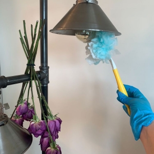 Photo of Blue and Green Cleaning