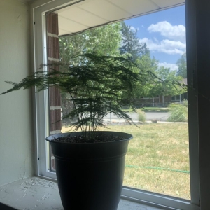 Photo of APEX Window Cleaning