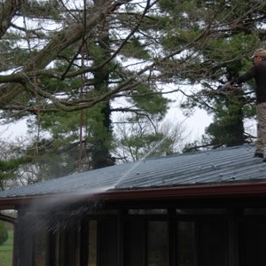 Photo of In & Out Cleaning Services