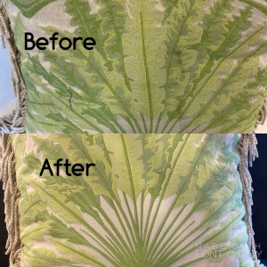 Photo of Evergreen Pro Cleaners