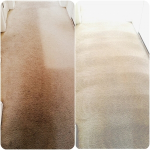 Photo of Phoenix Arizona Carpet Cleaning