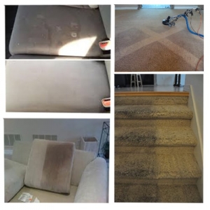 Photo of Phoenix Arizona Carpet Cleaning