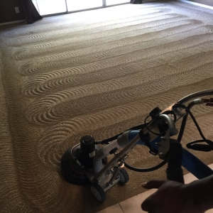 Photo of Phoenix Arizona Carpet Cleaning