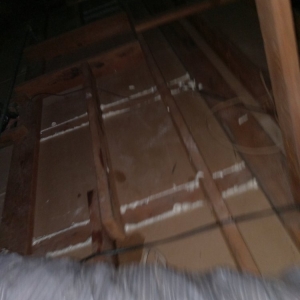 Photo of Stellar Attic