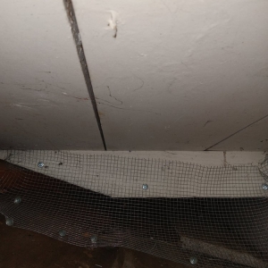 Photo of Stellar Attic