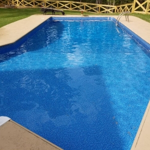 Photo of Pool Smith