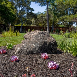 Photo of Bay Scenery Inc