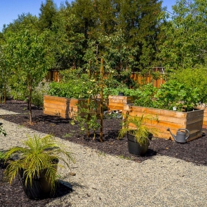 Photo of Bay Scenery Inc