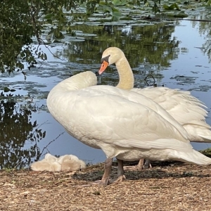 Photo of Lake Katherine Nature Center & Botanic Gardens