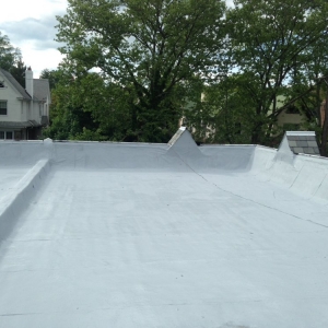 Photo of The Roof Doctor