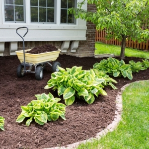 Photo of Bradford Landscaping & Lawn Care