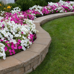 Photo of Bradford Landscaping & Lawn Care