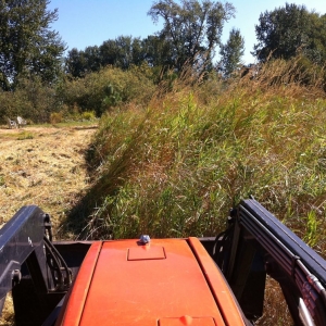 Photo of PW Landscaping Maintenance LLC