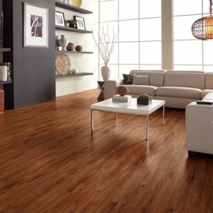 Photo of All Dimensions Floor Care