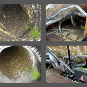 Photo of Healthy Environment Cleaning & Services