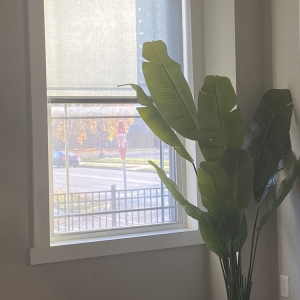Photo of The Window Valet