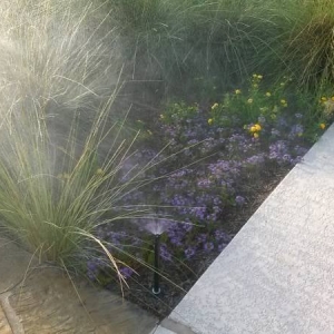 Photo of Arrow Irrigation