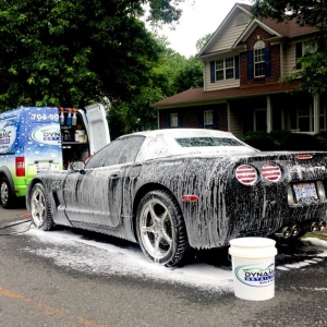 Photo of Dynamic Detailing