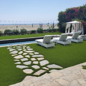 Photo of Waterless Turf