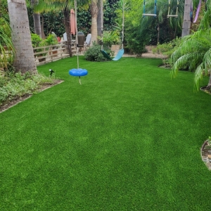 Photo of Waterless Turf