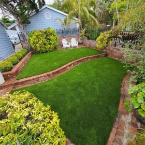 Photo of Waterless Turf